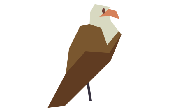 Color Wild Bird: The Modern Edge of the Eagle Low Poly Icon