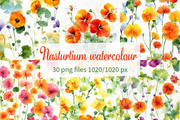 Unpacking Nasturtium Watercolour: A Designer's Honest Take