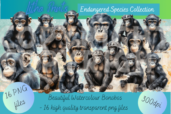 Watercolour Bonobos: Artistic Assets for Ethical Design