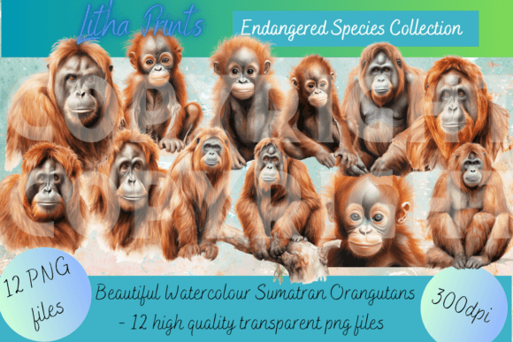 Watercolour Sumatran Orangutan: A Brushstroke of Conservation